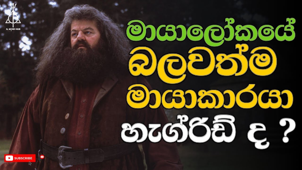හැග්රිඩ් මේ තරම් බලවත් කෙනෙක්ද ? | What If Hagrid Wasn't Expelled From Hogwarts