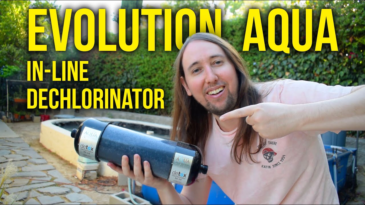 Evolution Aqua Detox Inline Pond Dechlorinator Review!