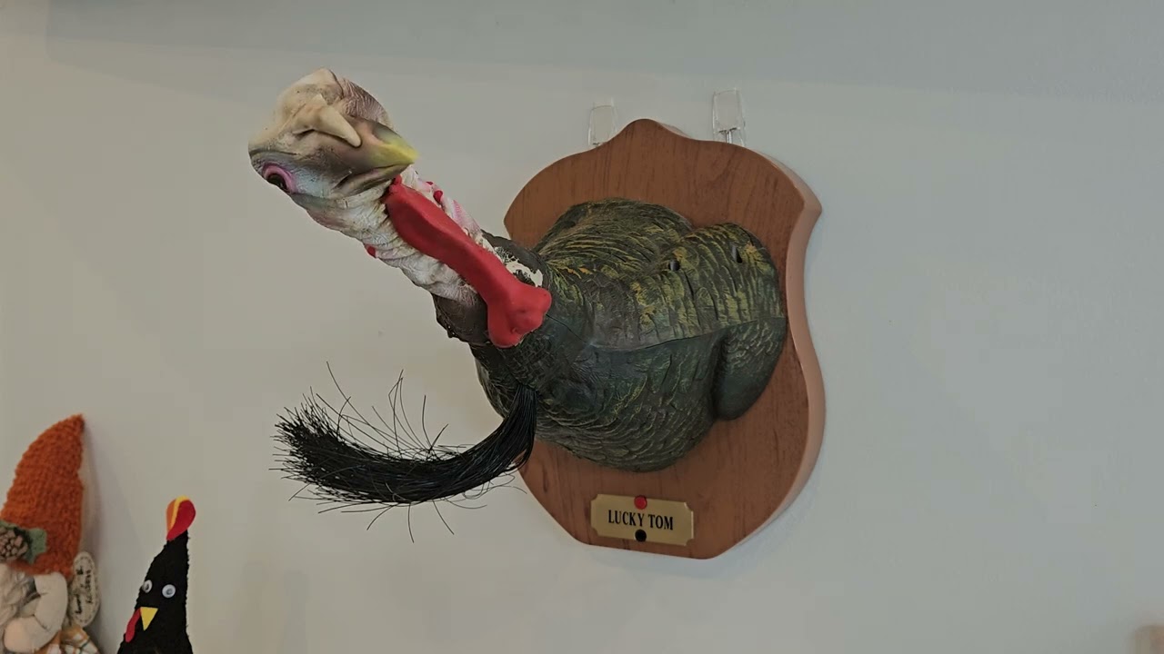 Gemmy Lucky Tom the talking & singing turkey