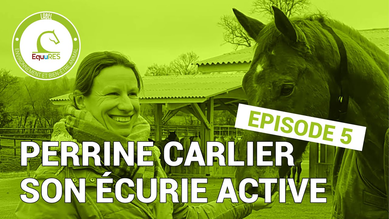 Episode 5 - Le passage à l'écurie active chez Perrine Carlier, le bilan