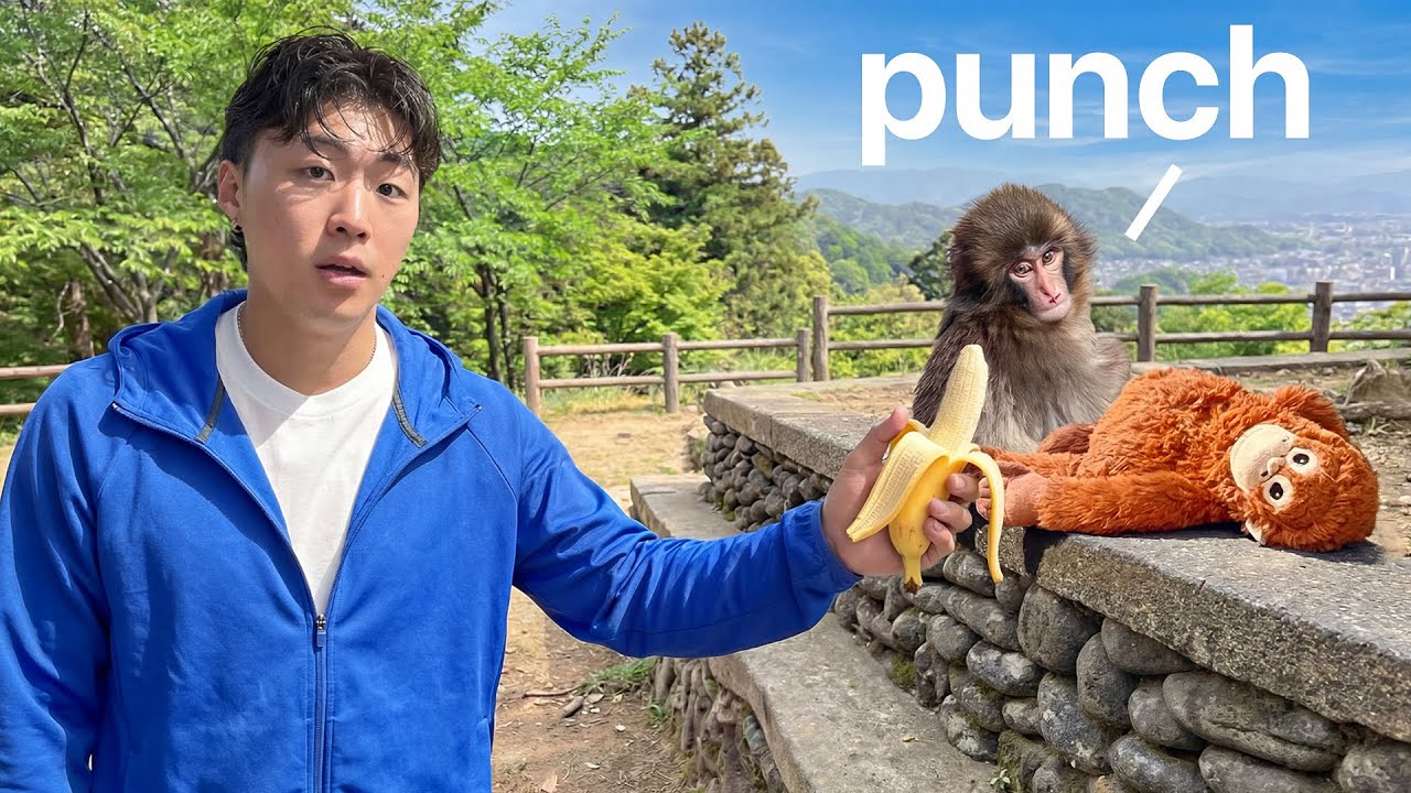 Traveling to Japan to Investigate the Monkey Punch Drama