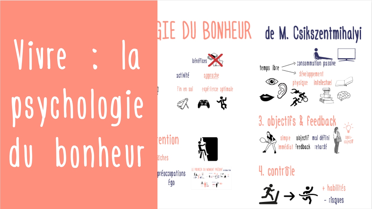 Vivre : la psychologie du bonheur de M. Csikszentmihalyi