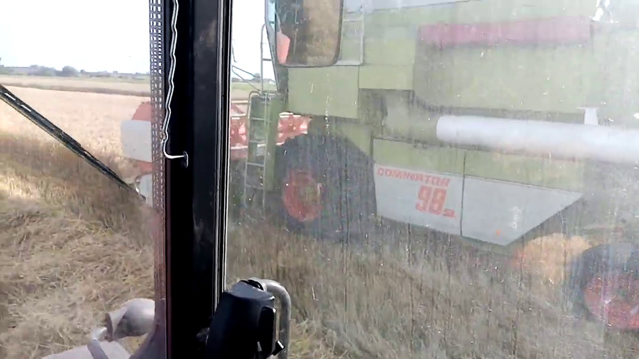 Koszenie Pszenicy Class 98sl. Żniwa 2020./ Zetor Proxima 7443