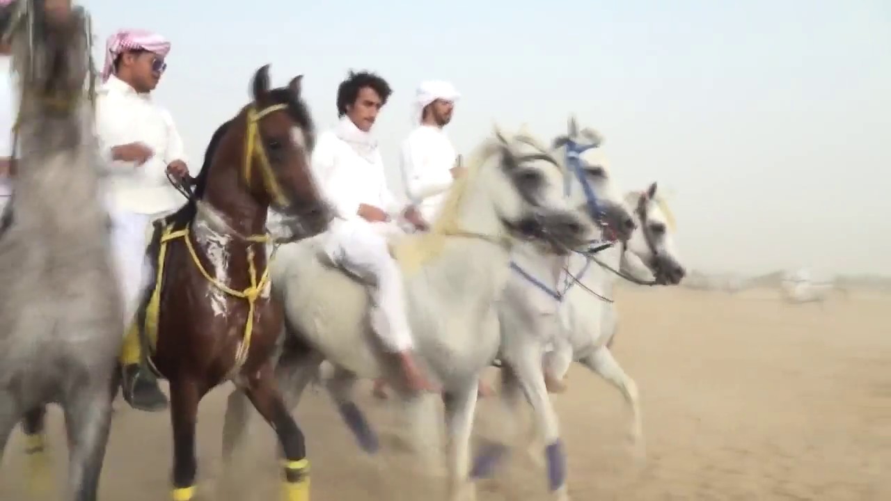 حفل عيد الفطر المبارك لعام 1438 هـ بمنطقة نجران - اليوم الاول