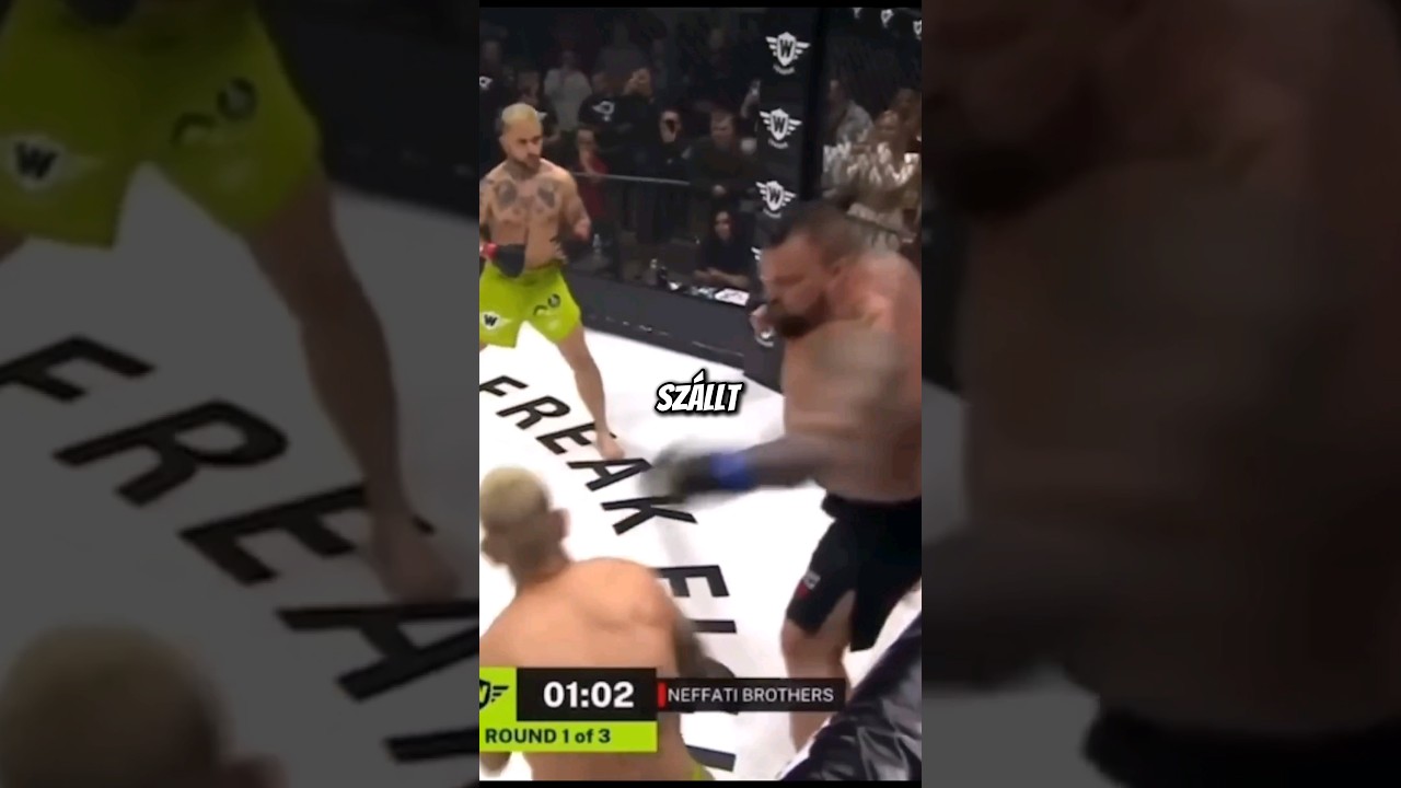 A vil&aacute;g legerősebb embere vs 2 ember MMA-ban...