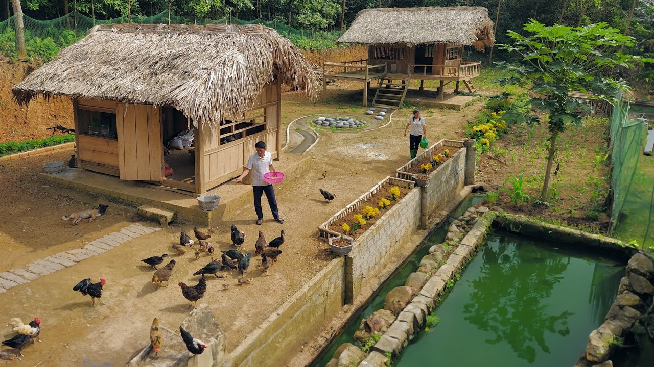 700-Days journey of building a forest farm, P8 (Opening the farm - pigs giving birth)