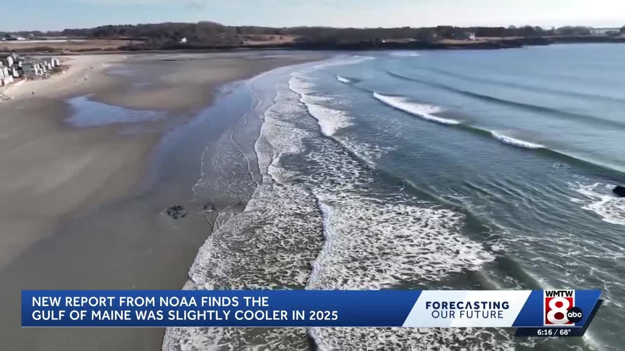 Gulf of Maine sees temporary cooling, offering hope for marine ecosystems