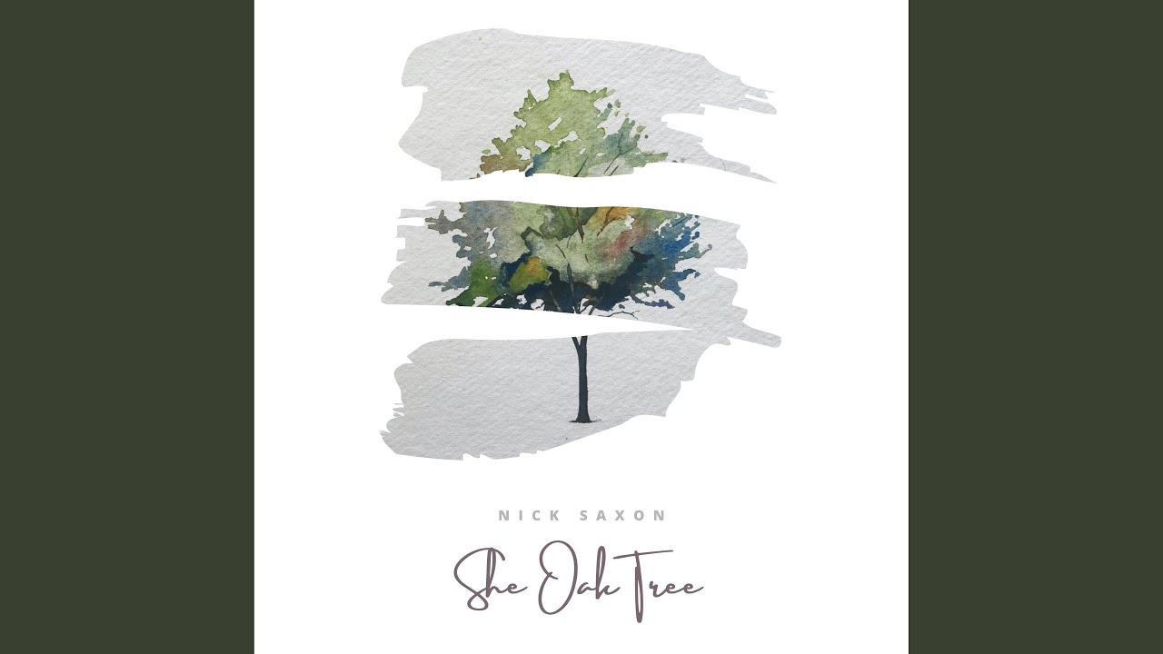 She Oak Tree