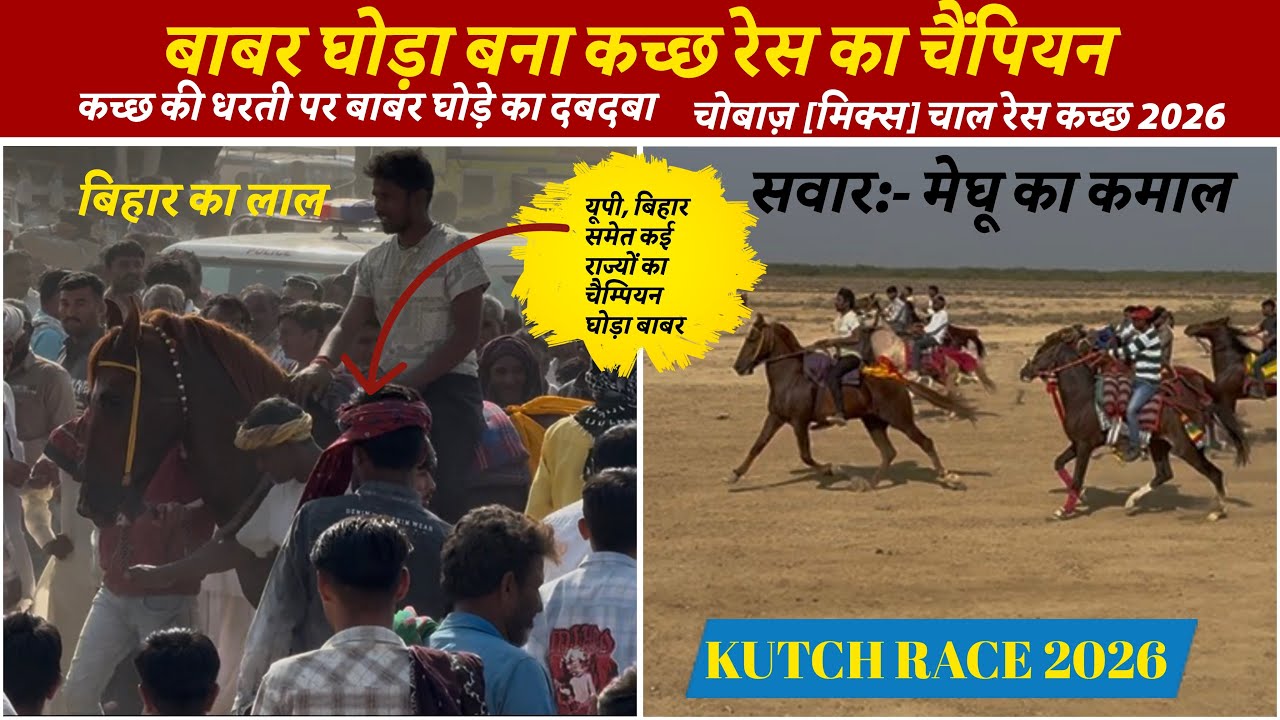 बाबर घोड़ा बना कच्छ रेस का चैंपियन |कच्छ की धरती पर बाबर घोड़े का दबदबा|चोवाज़ रेस #kutchrace2026