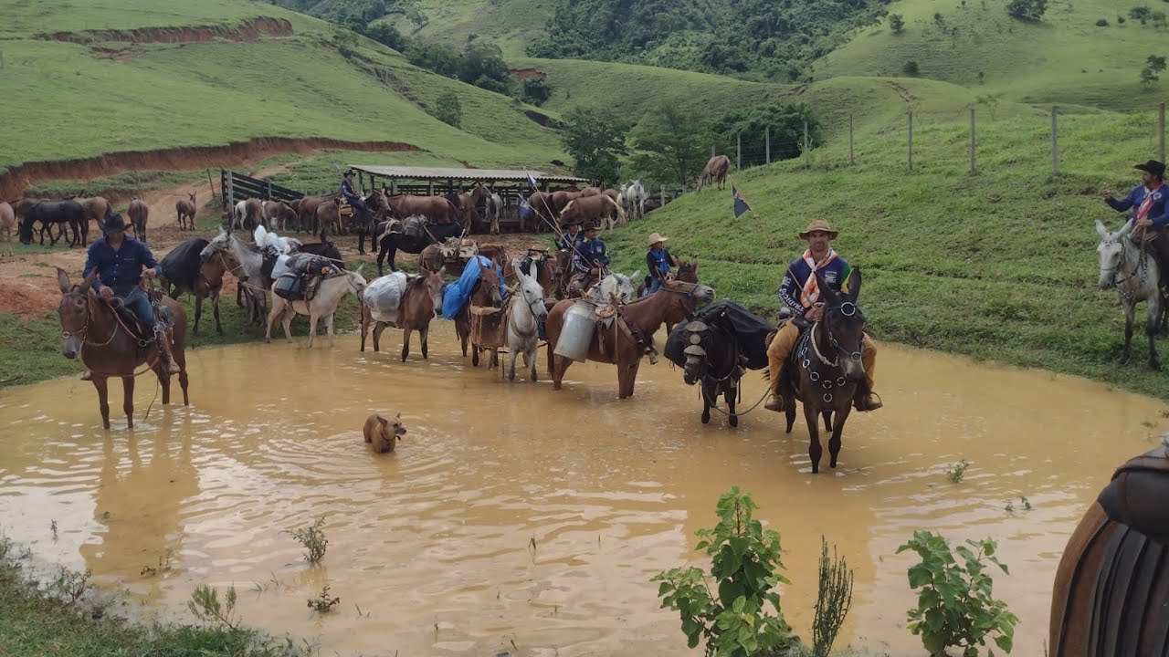 Já estamos a dez dias na estrada 