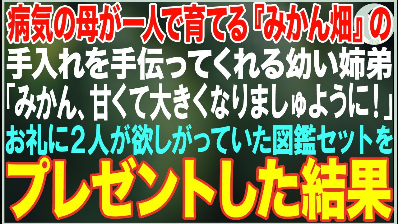 【感動する話】病気の母が一人で育てる、みかん畑を手伝ってくれる姉弟「みかん、甘くて大きくなりましゅように！」→お礼に2人が欲しがっていた図鑑セットをプレゼントした結果【朗読・スカッと・泣ける話】