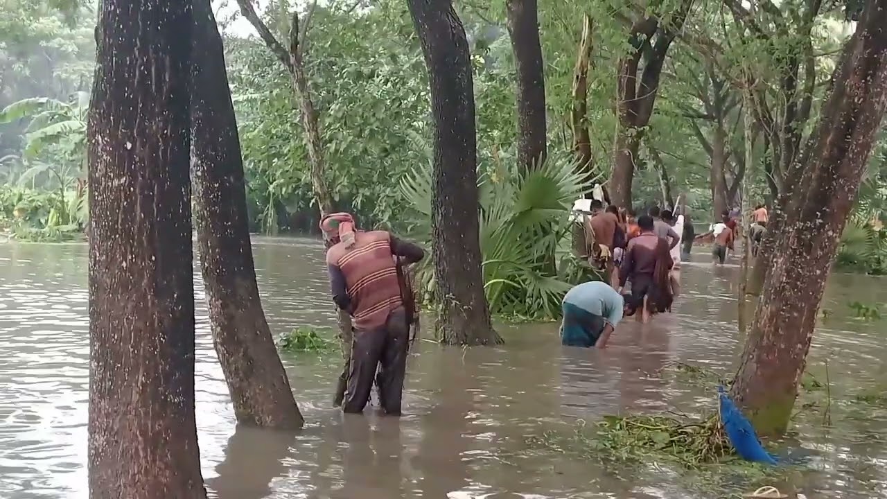 দেখুন যশোরের অভয়নগরে কোদলা কচুয়া, গ্রামের মানুষের লক্ষ লক্ষ টাকার ক্ষয়ক্ষতি।#video #