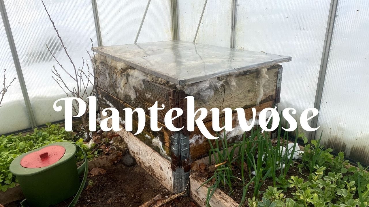 Del 1: Plantekuvøse for tidlig utsetting av planter i drivhuset | Med naturlig varme