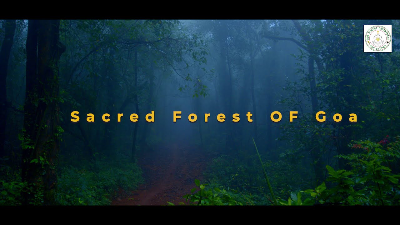 Sacred Forest of Goa (ENGLISH)