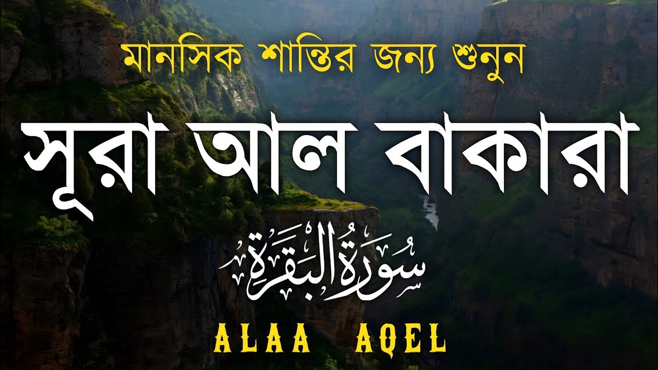 ঘরের উন্নতির জন্য সূরা বাকারা প্রতিদিন শুনুন I Surah Al Baqarah Full Quran Recitation | Alaa Aqel