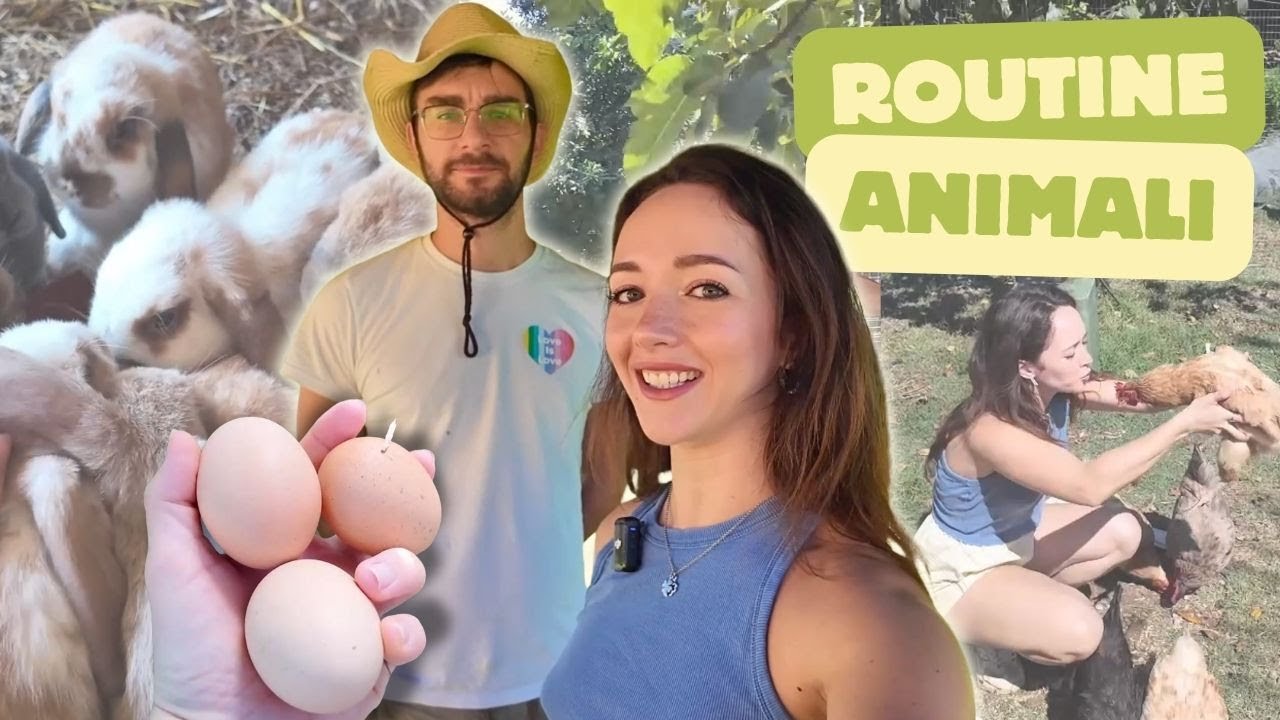 Com’è vivere in campagna | routine degli animali 🐰💞🐥🐓