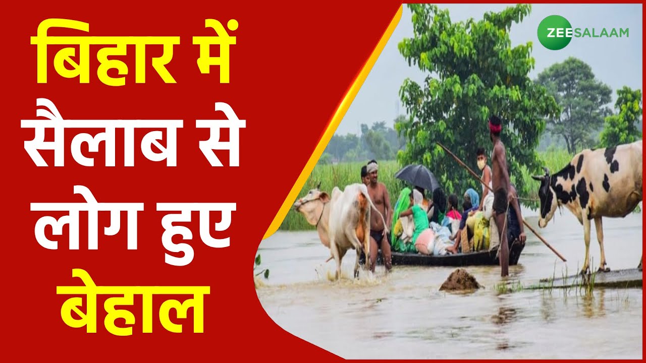 Bihar Flood News | बिहार में सैलाब से लोग हुए बेहाल | Latest News | Weather Update | Urdu News |