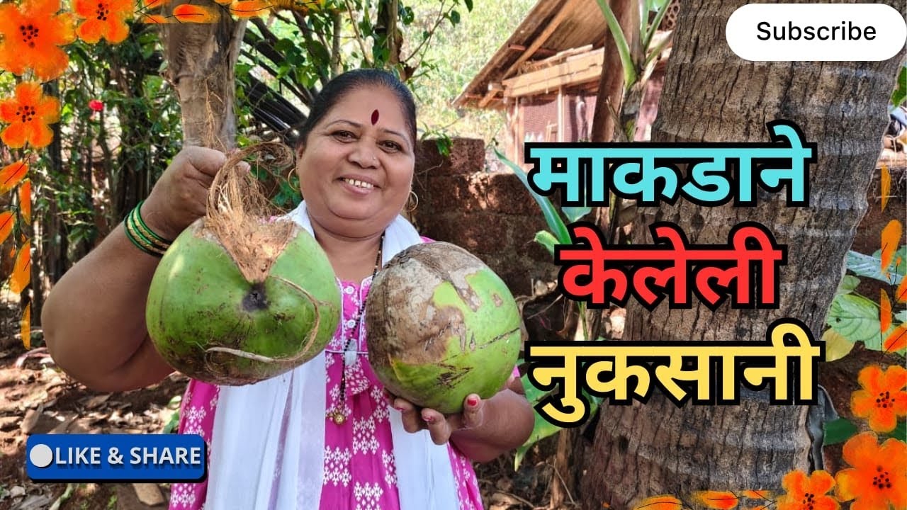 आम्ही मुंबईला गेल्यावर बंद घर असल्यामुळे काय झालं बघा आम्ही आल्यावर बघून आम्हाला खूप वाईट वाटले.🐒🐦‍⬛