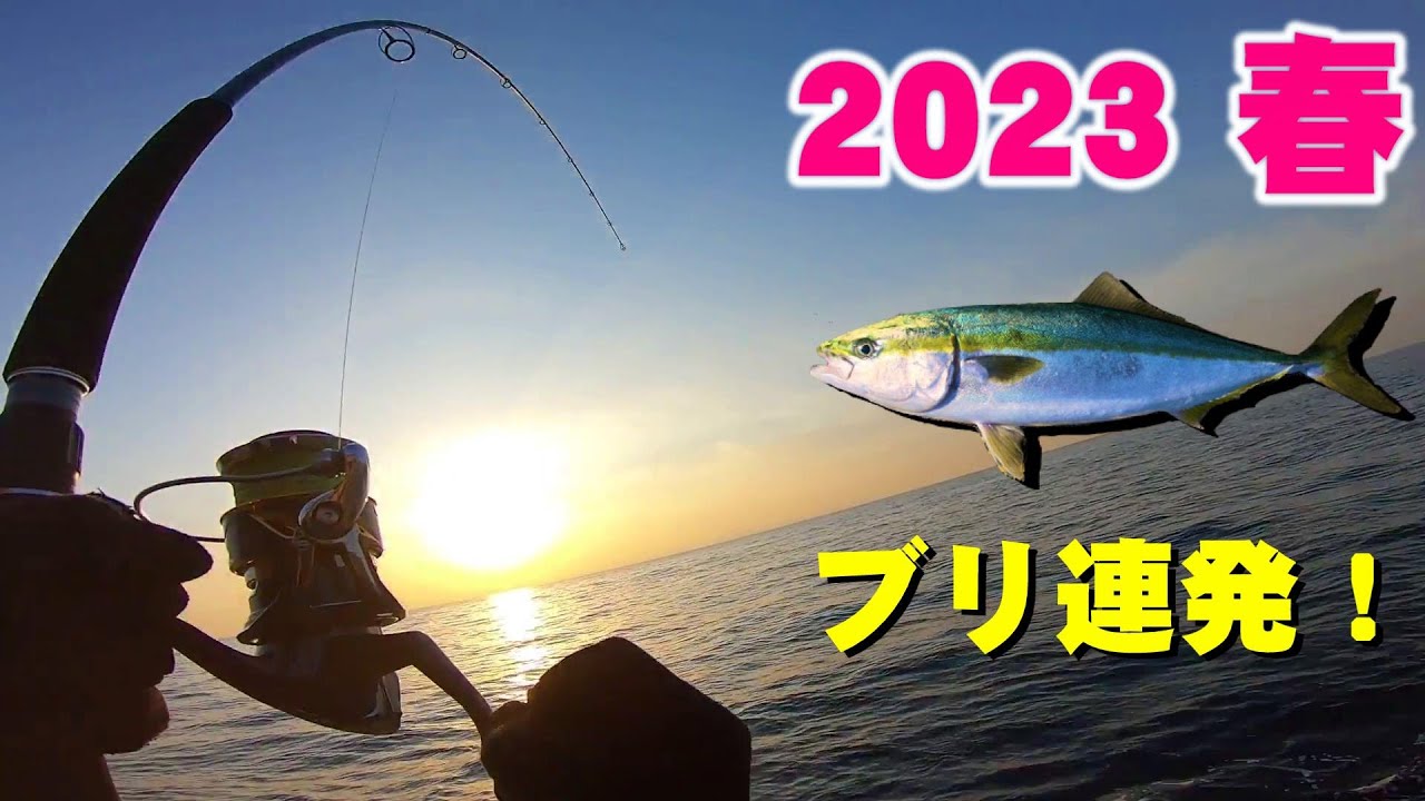 【2023年】春のショアジギングシーズン開幕！大型青物のブリ圧倒的釣果！