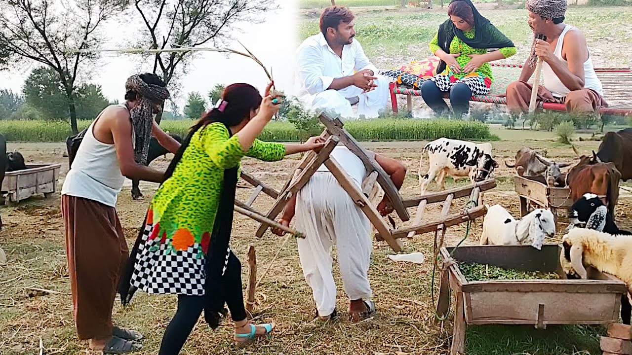 Nikamay | New Top Funny Comedy Video | Must Watch Top New Comedy Video 2020 | Bata Movies