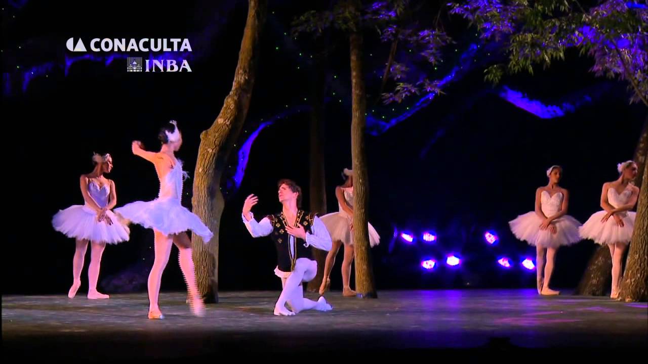 El Lago de los Cisnes 2015