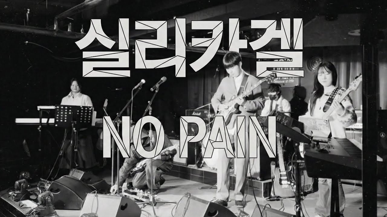 실리카겔 (Silica Gel) - NO PAIN | 밴드커버
