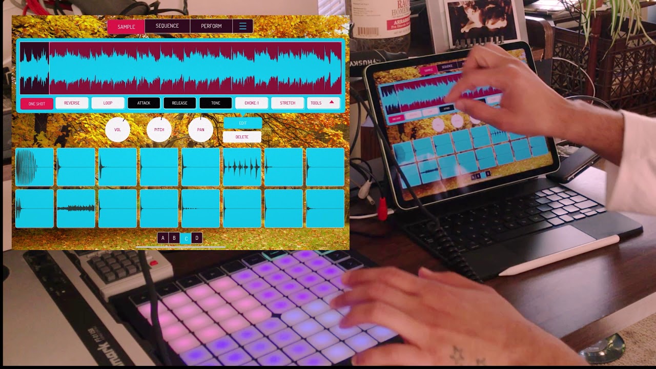 Making beats in Koala app from scratch with Bird Boss