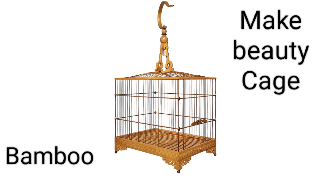Building a Beautiful Bird Cage