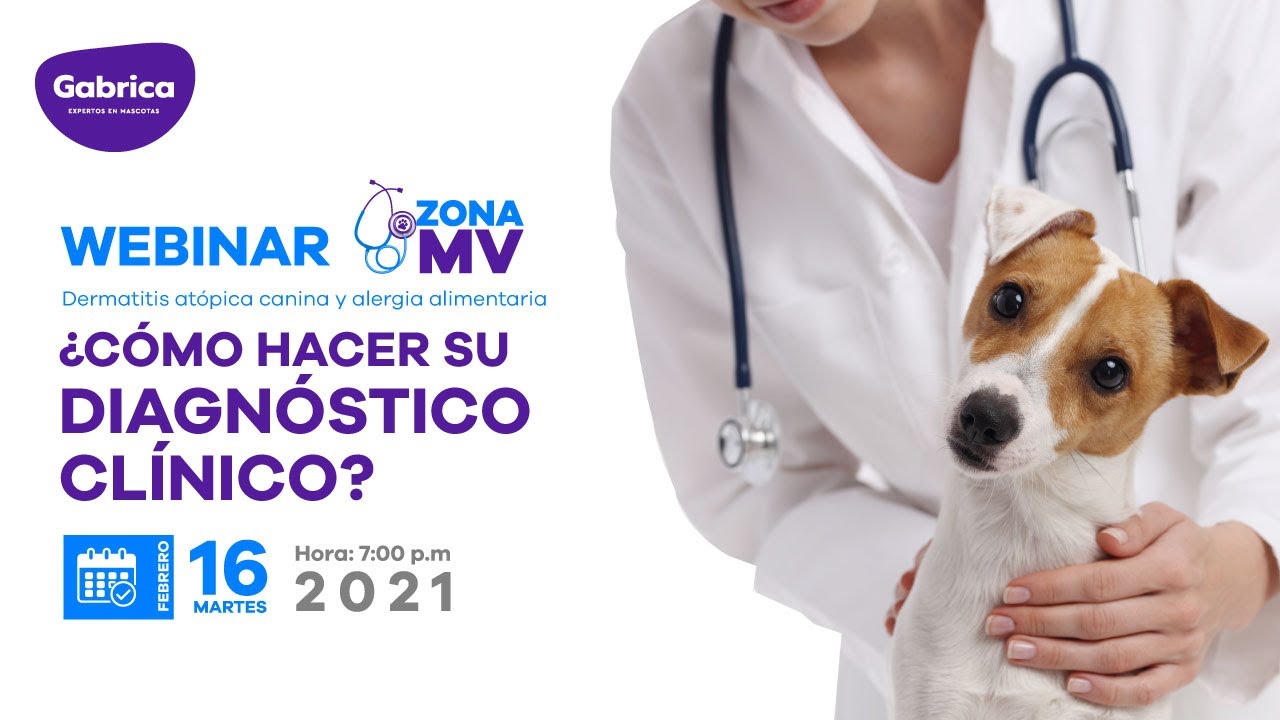 🎥🔴🇵🇪 Dermatitis atópica canina y alergia alimentaria ¿Cómo hacer su diagnóstico clínico?