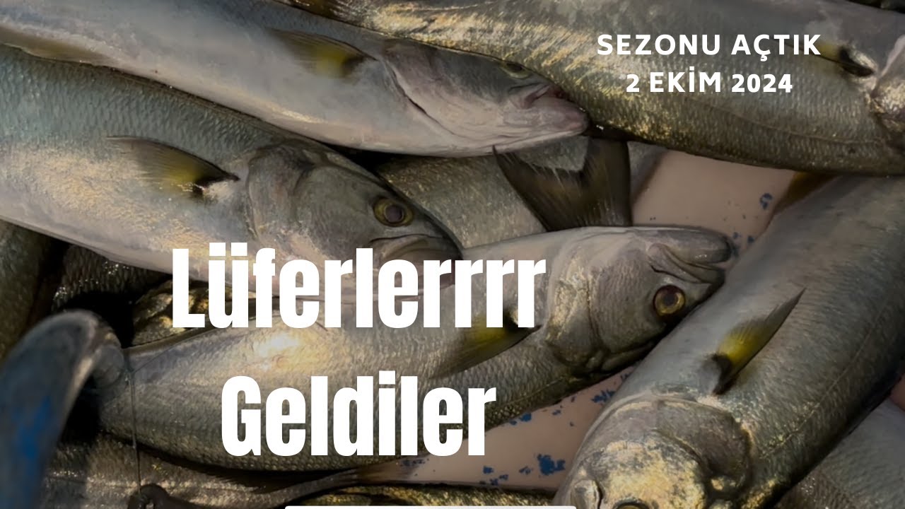 2 EKİM Lüfer Sezonunu Açtık