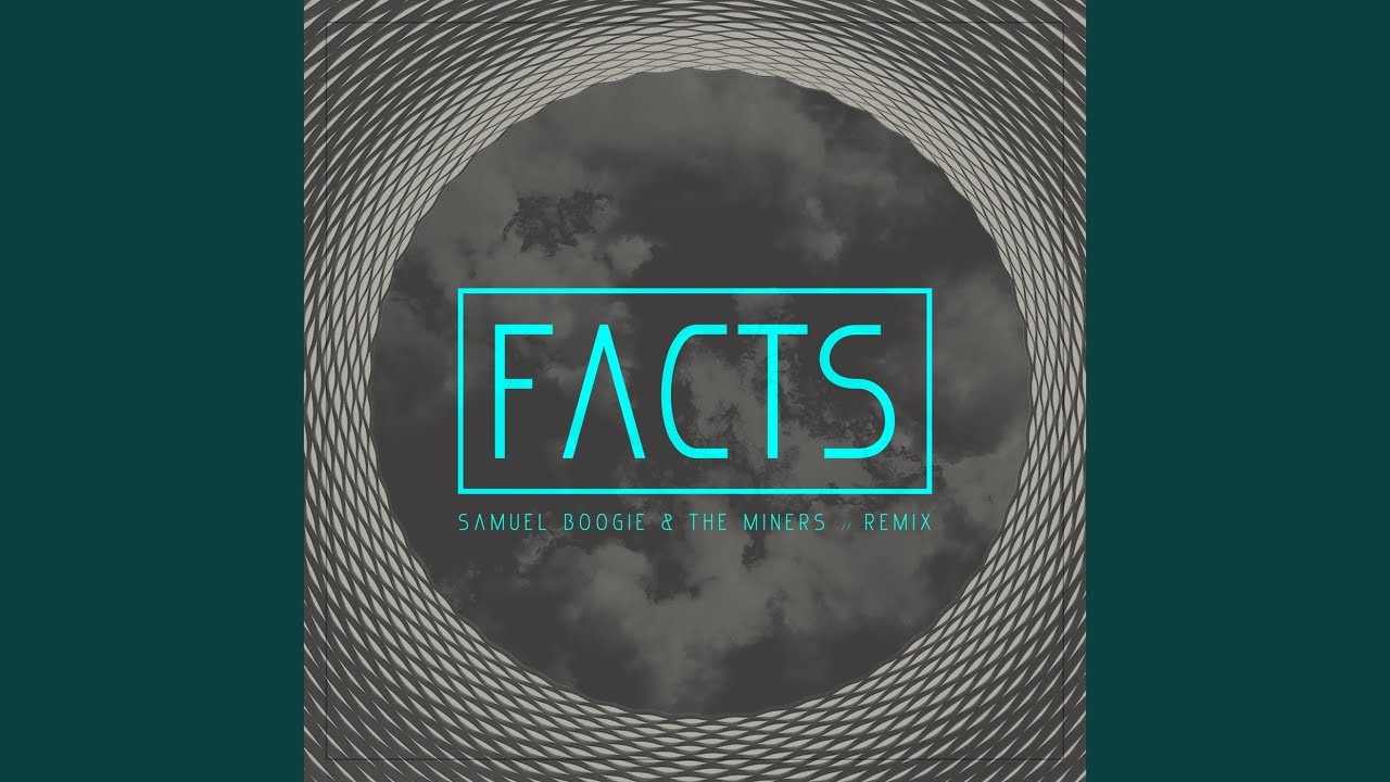 Facts (Remix)