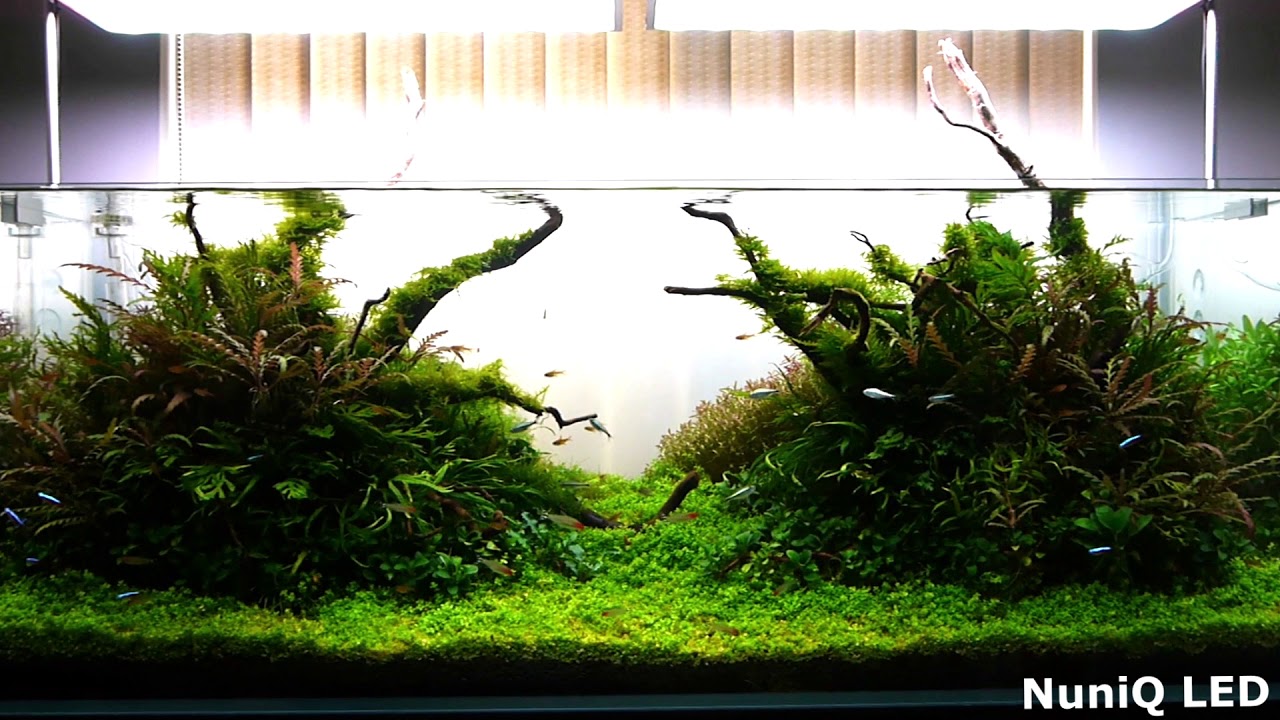 NuniQ Wide LED & Hanger for 120cm tank