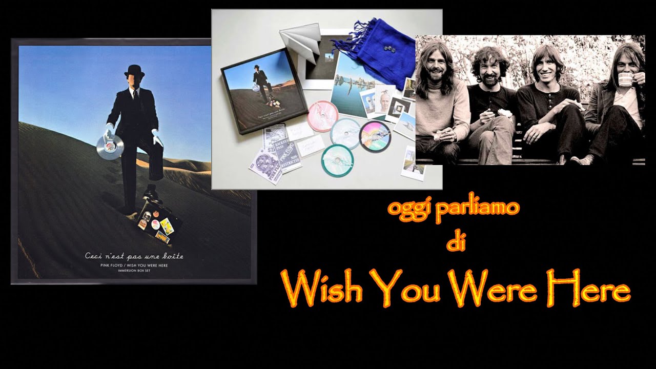 WISH YOU WERE HERE: analisi del progetto artistico e della 