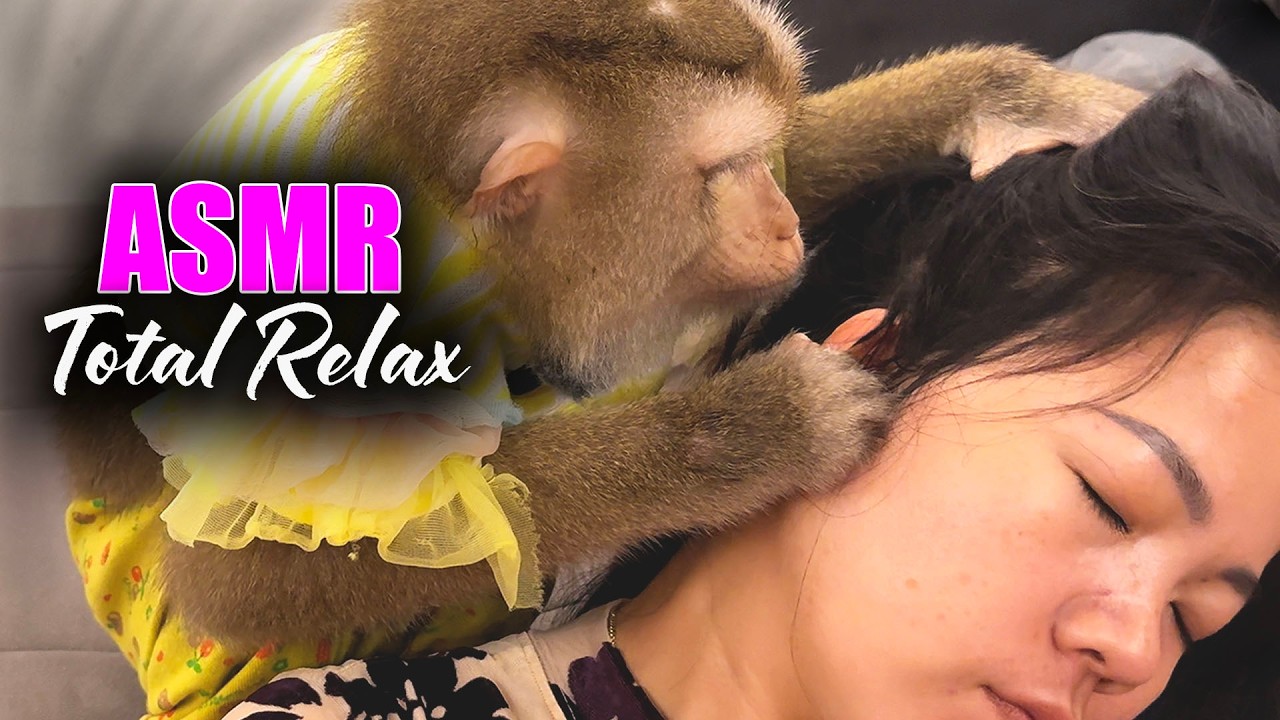 Unintentional Monkey ASMR | Super Tingly Scalp Grooming & Scratching For Deep Sleep
