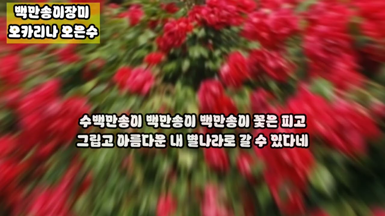 #백만송이장미 #심수봉 #오카리나연주 