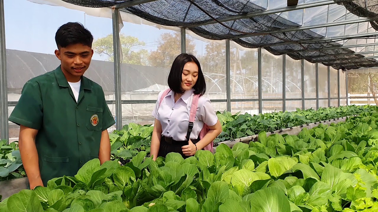 แนะนำวิทยาลัยเกษตรและเทคโนโลยีขอนแก่น
