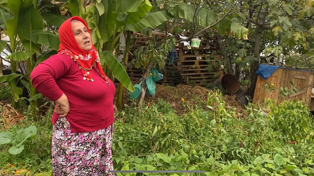 KALBİMİ KIRANLARIN ACISI GEÇMEDİ | TRABZON’DA KASIM AYINDA BİLE FASÜLYE TOPLUYORUM