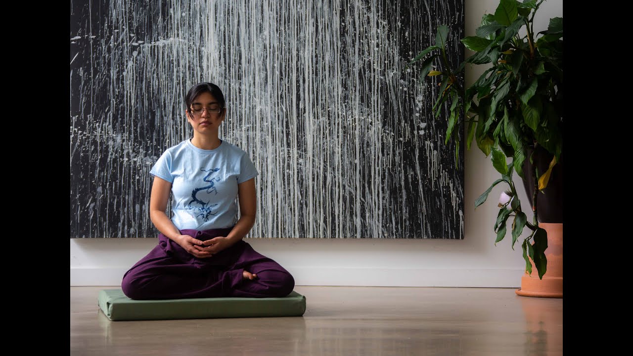 Introduction to Zen Meditation: The Still Point (1998)