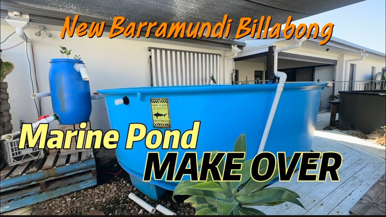 From Marine pond into a Freshwater Billabong! 