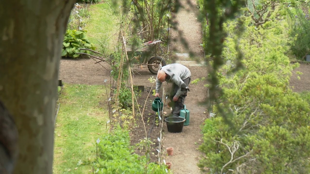 Angers : Découverte et visite du jardin botanique