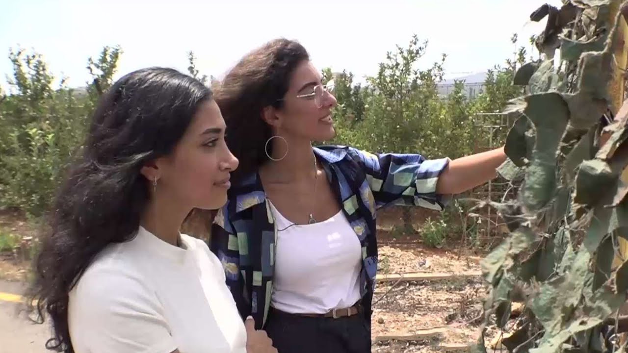הצד