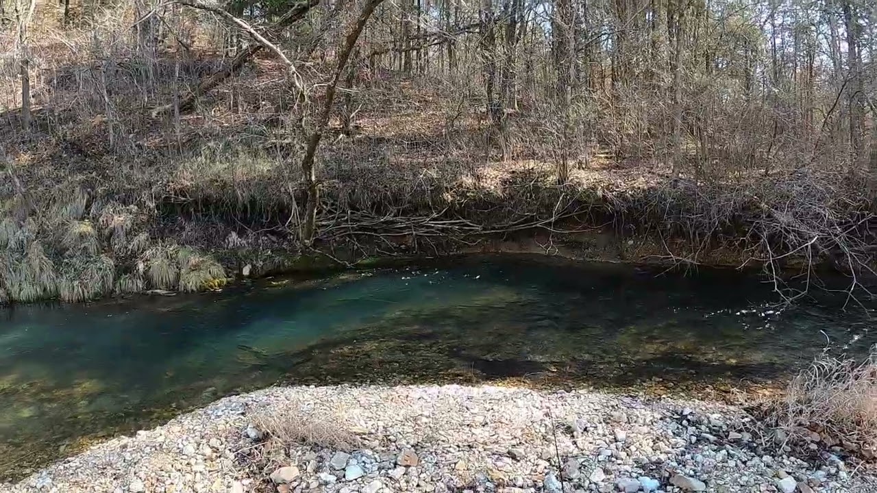 Winter Fly Fishing on Mill Creek