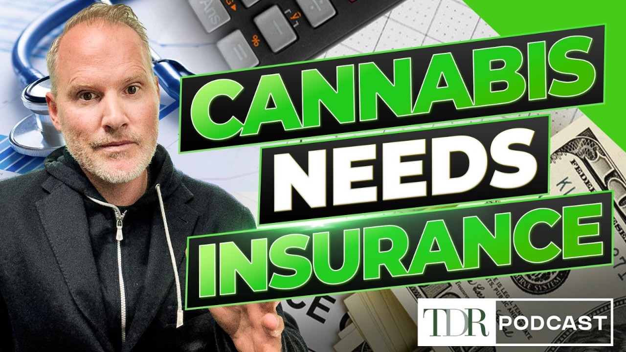 Почему одной лишь смены категории не решит проблему каннабиса | TDR Cannabis in 5