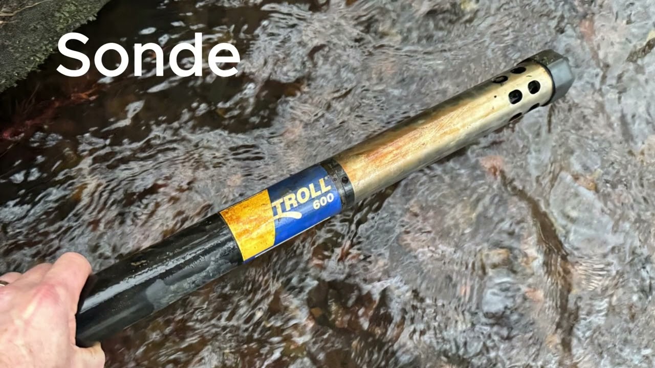 The River Beane Monitoring Project (2023–2025)