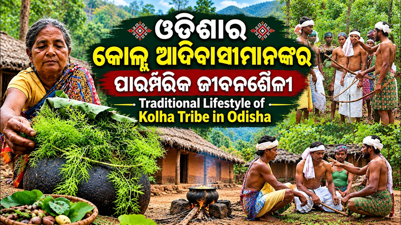 ଓଡ଼ିଶାର କୋଲ୍ହ ଆଦିବାସୀମାନଙ୍କର ପାରମ୍ପରିକ ଜୀବନଶୈଳୀ | Traditional Lifestyle of Kolha Tribe in Odisha