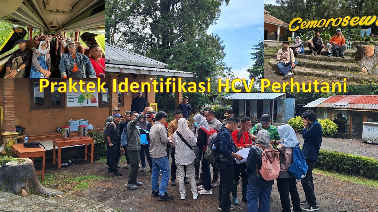 Praktek PelatihanIdentifikasi HCV Perum Perhutani