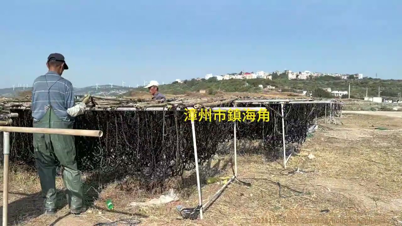 202511250952漳州市龍海區隆教鄉鎮海角 6A#旅行vlog #travel #福建 #漳州 #自駕遊