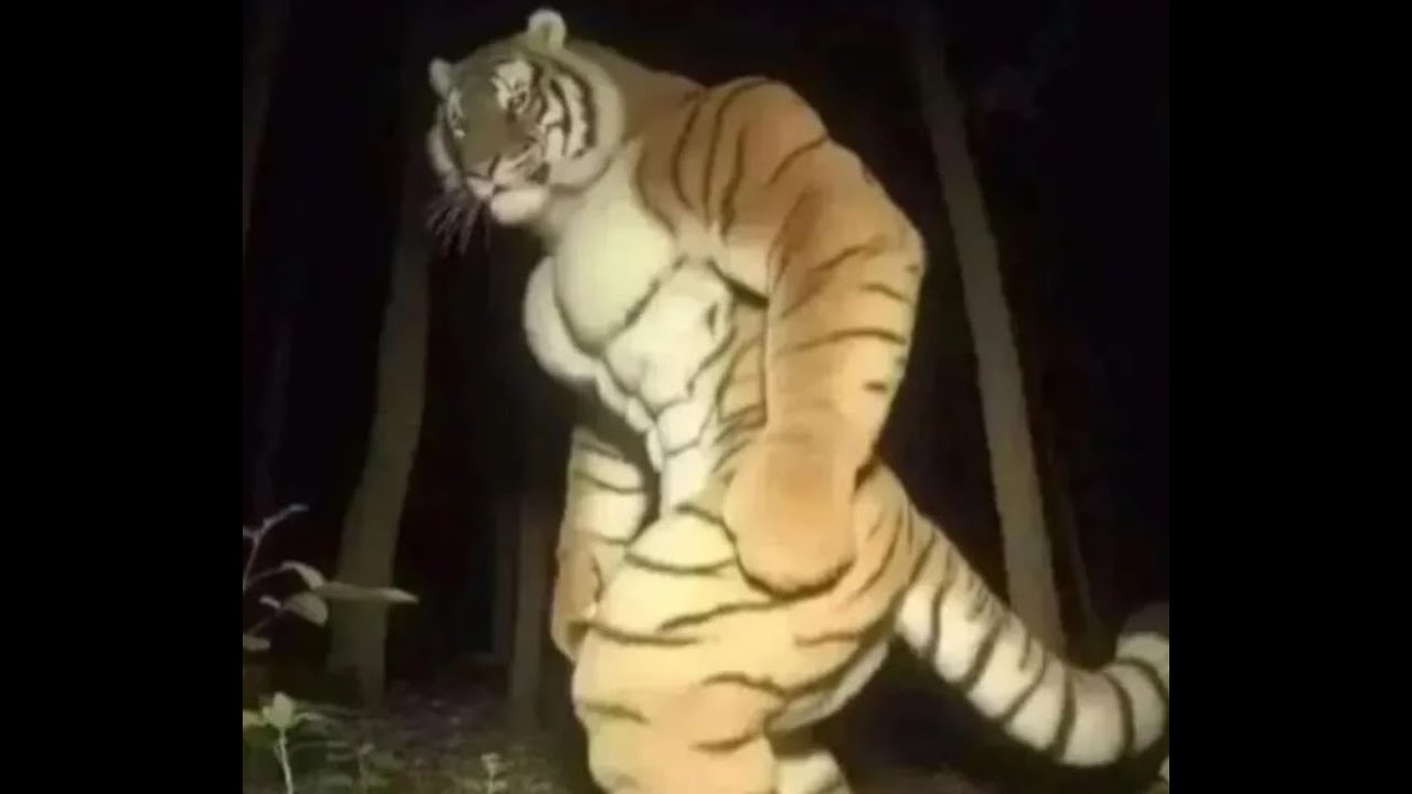 god level