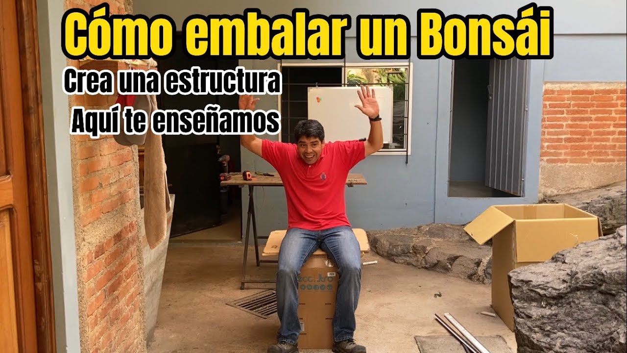 Como embalar un Bonsái!!! Crea una estructura.