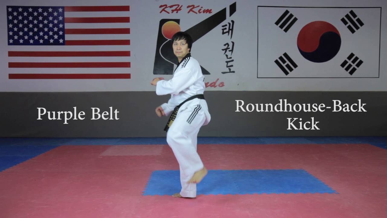 KH Kim Taekwondo Basic Kick Tutorial